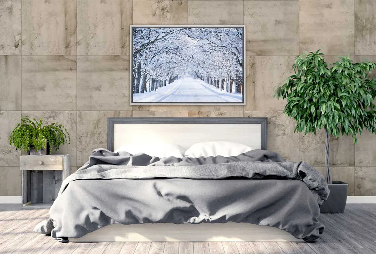 Avenue Of Snow Covered Trees | Canvas Wall Art Print