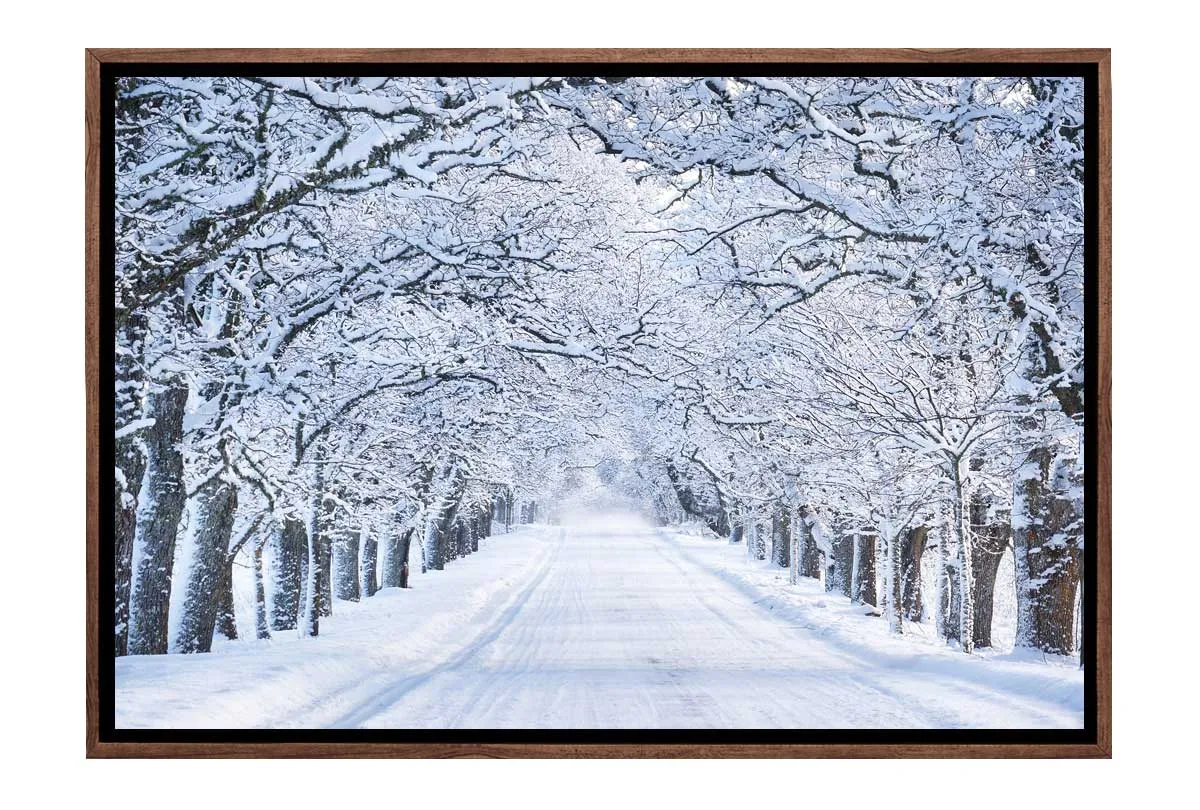 Avenue Of Snow Covered Trees | Canvas Wall Art Print