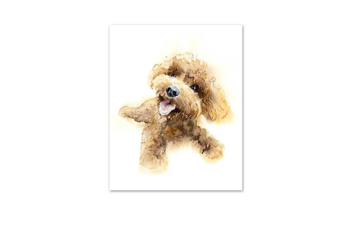 Brown Poodle Portrait | Canvas Wall Art Print