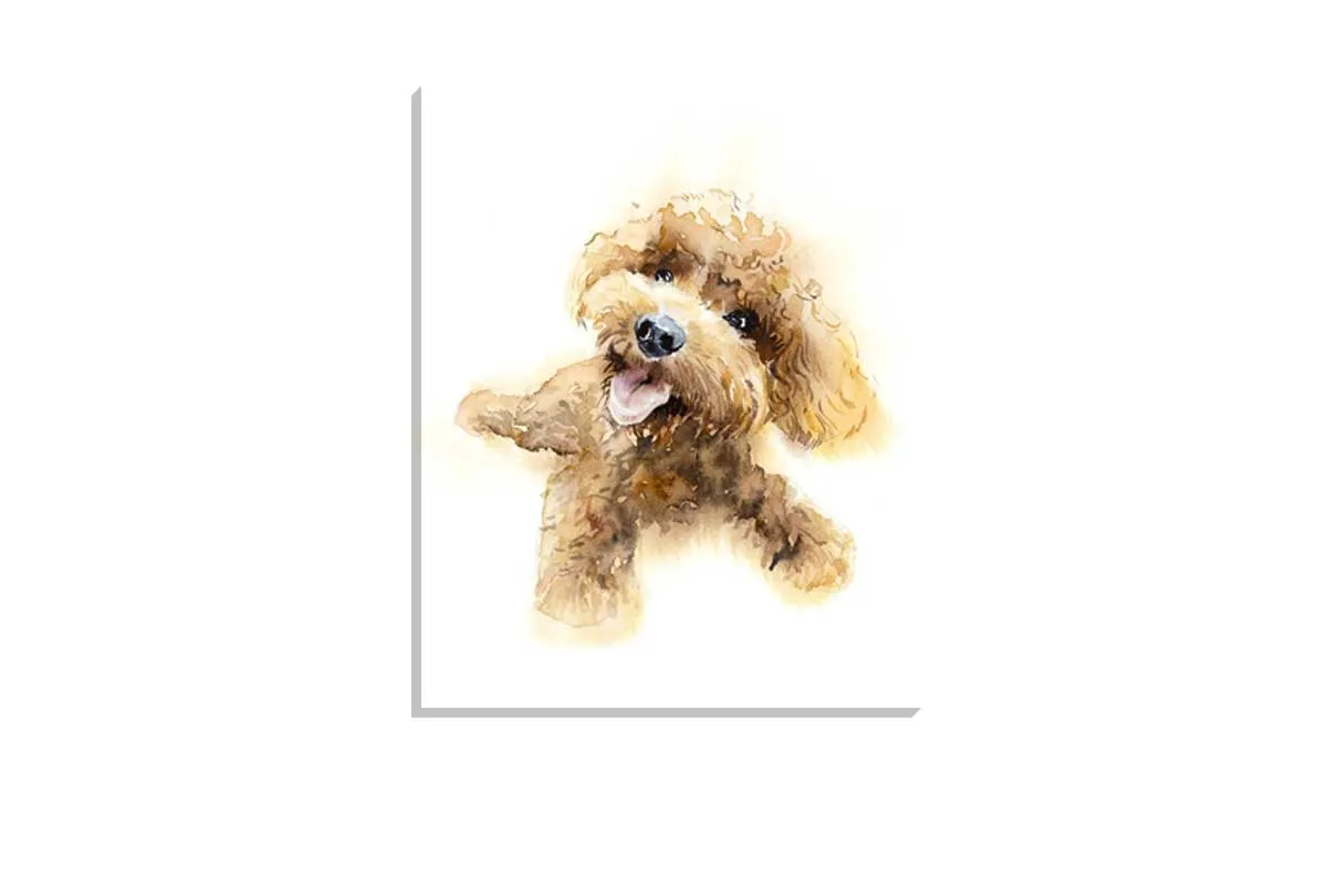 Brown Poodle Portrait | Canvas Wall Art Print