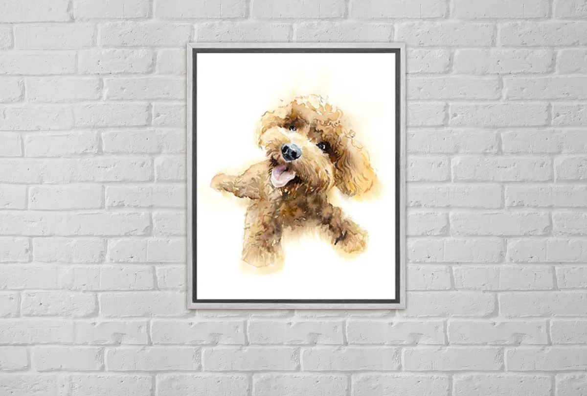 Brown Poodle Portrait | Canvas Wall Art Print