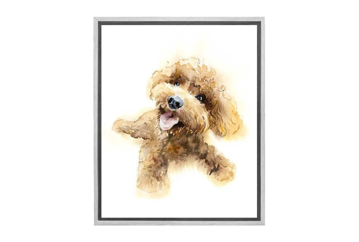 Brown Poodle Portrait | Canvas Wall Art Print