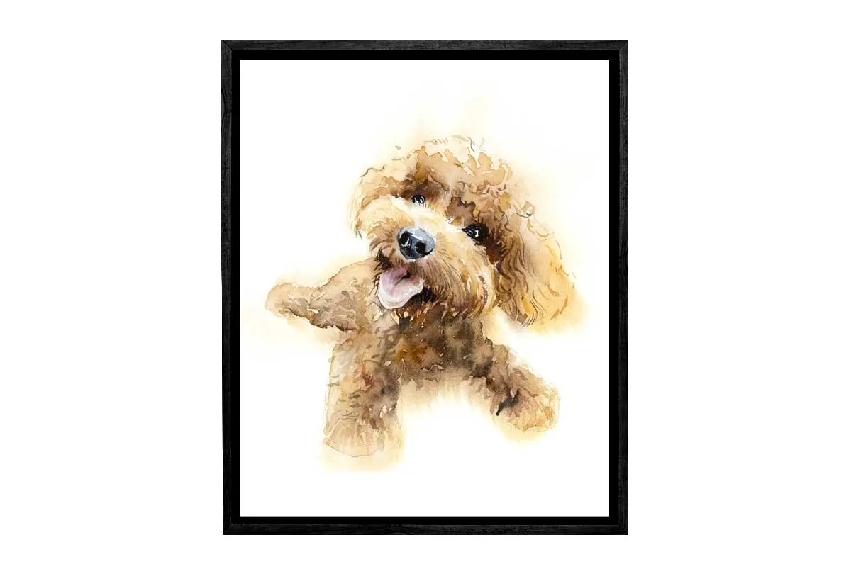 Brown Poodle Portrait | Canvas Wall Art Print