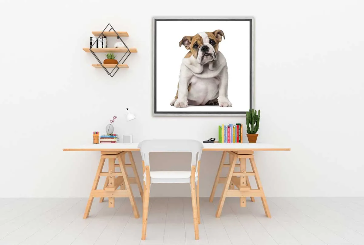 Bull Dog | Canvas Wall Art Print