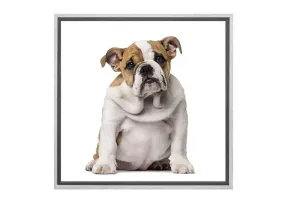 Bull Dog | Canvas Wall Art Print