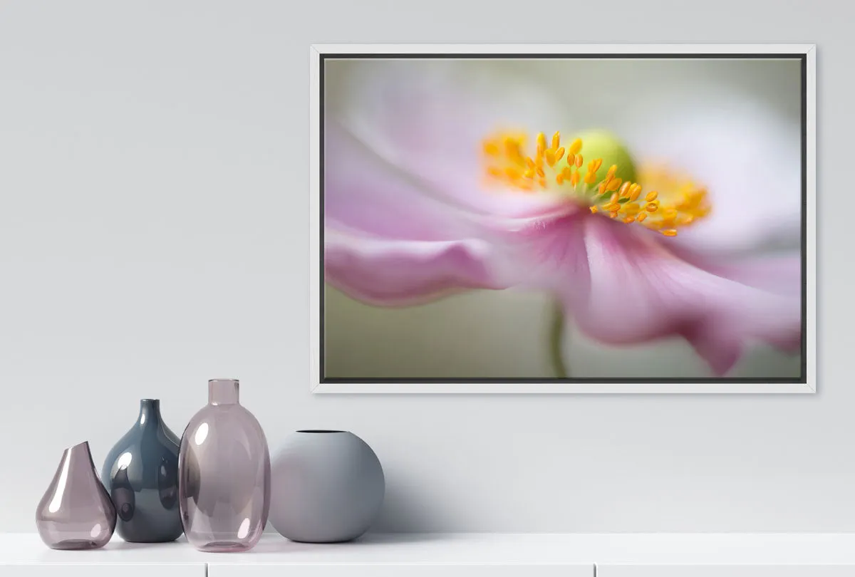 Dreamy Pink Bloom | Flower Wall Art Print