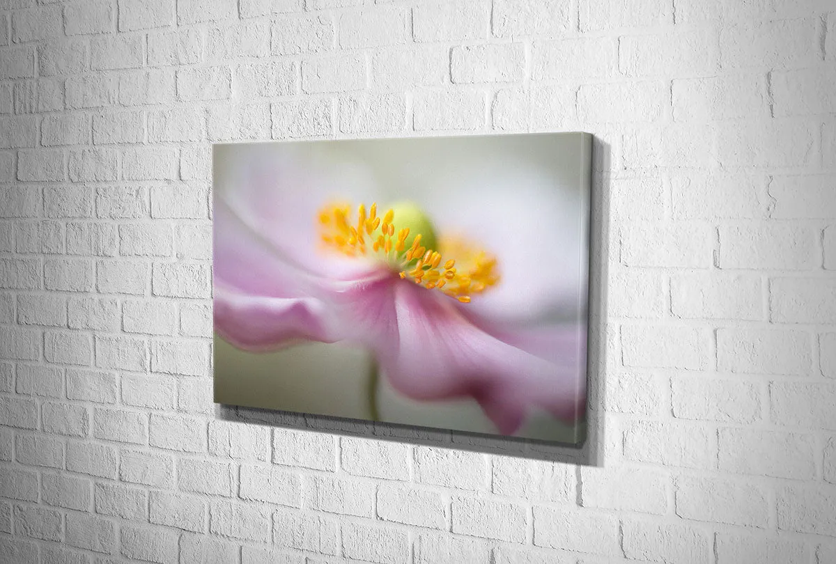 Dreamy Pink Bloom | Flower Wall Art Print