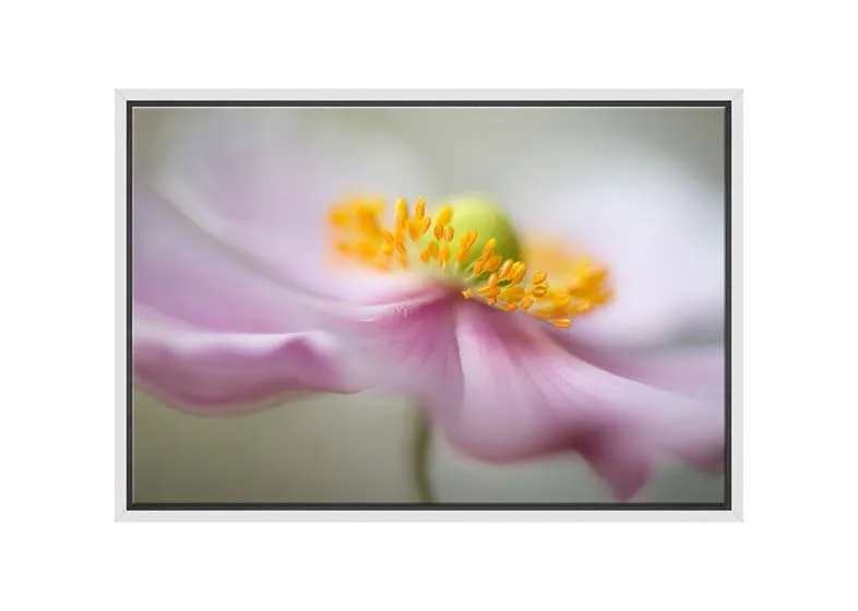 Dreamy Pink Bloom | Flower Wall Art Print