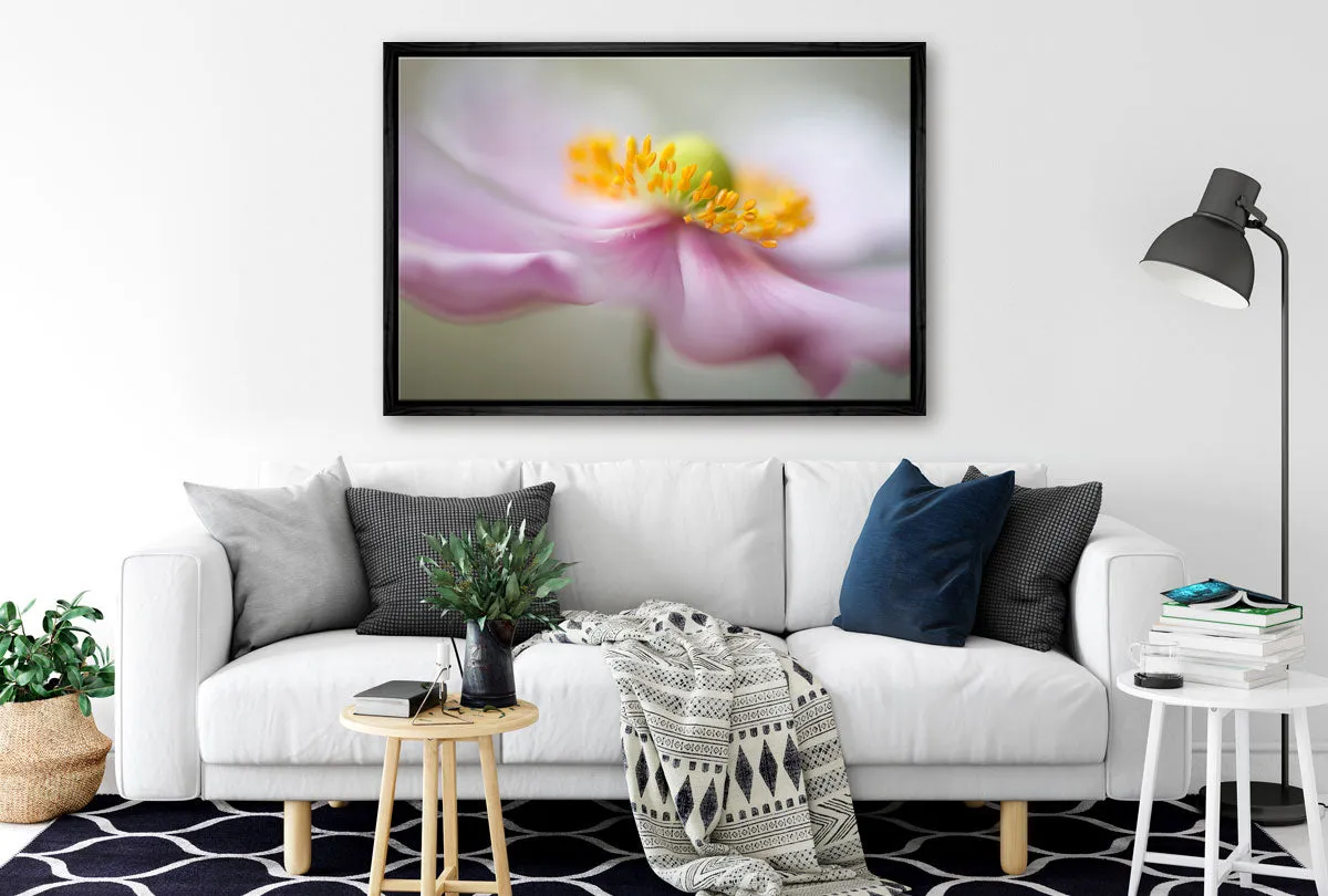 Dreamy Pink Bloom | Flower Wall Art Print