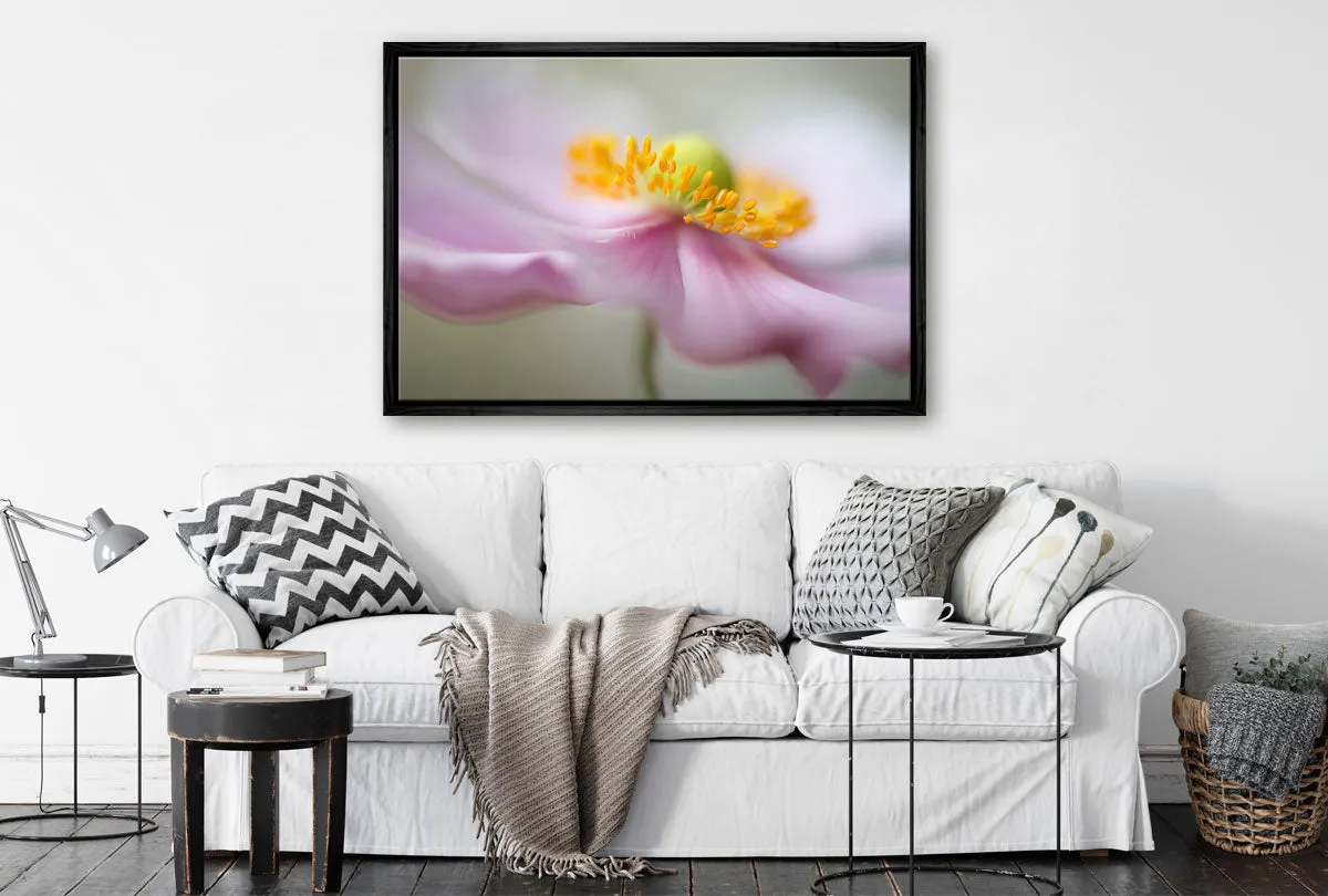 Dreamy Pink Bloom | Flower Wall Art Print