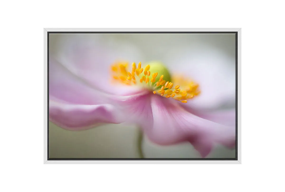 Dreamy Pink Bloom | Flower Wall Art Print