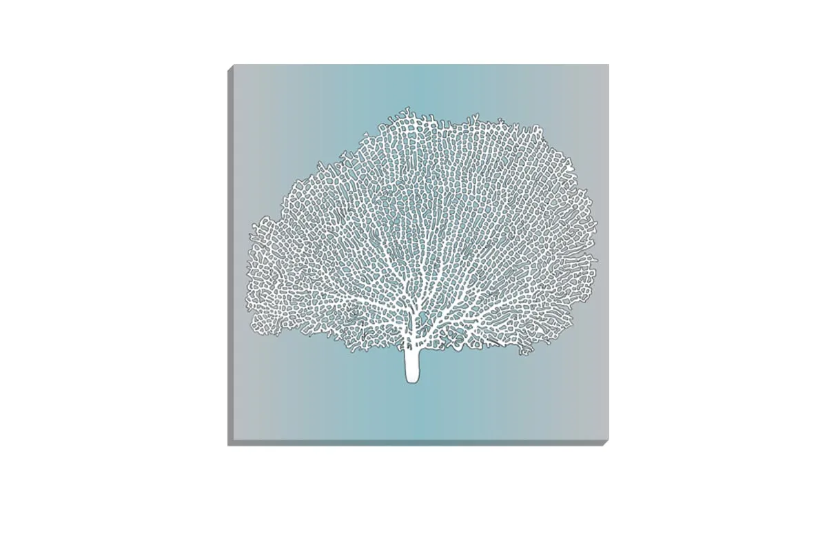 Fan Coral White on Teal | Canvas Wall Art Print