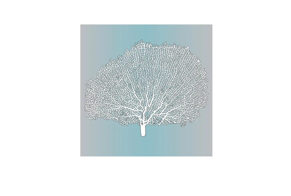 Fan Coral White on Teal | Canvas Wall Art Print