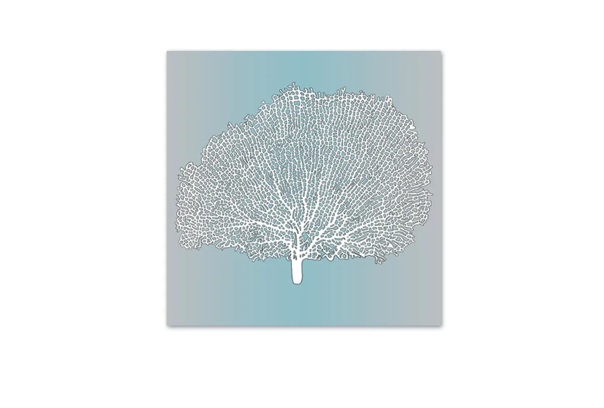 Fan Coral White on Teal | Canvas Wall Art Print