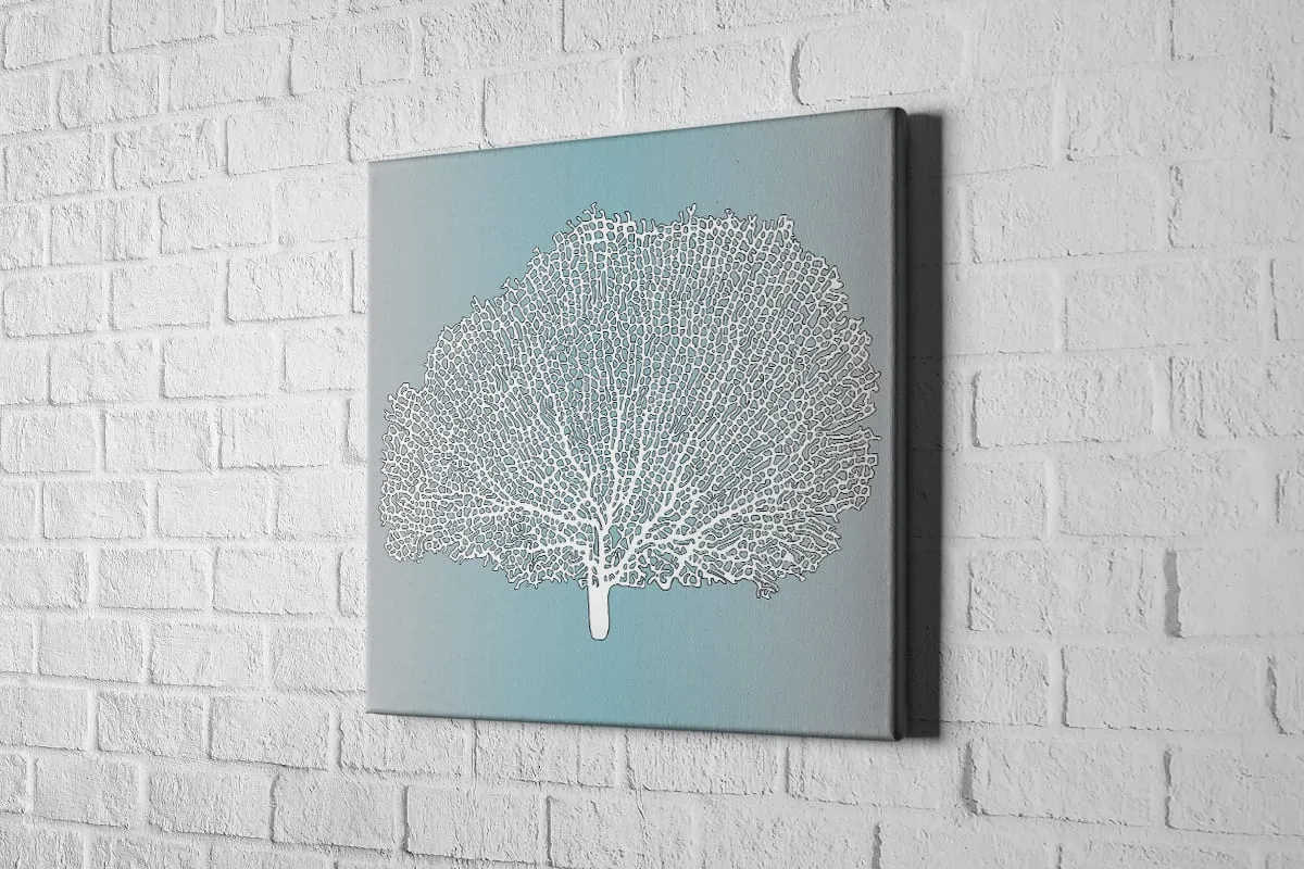 Fan Coral White on Teal | Canvas Wall Art Print