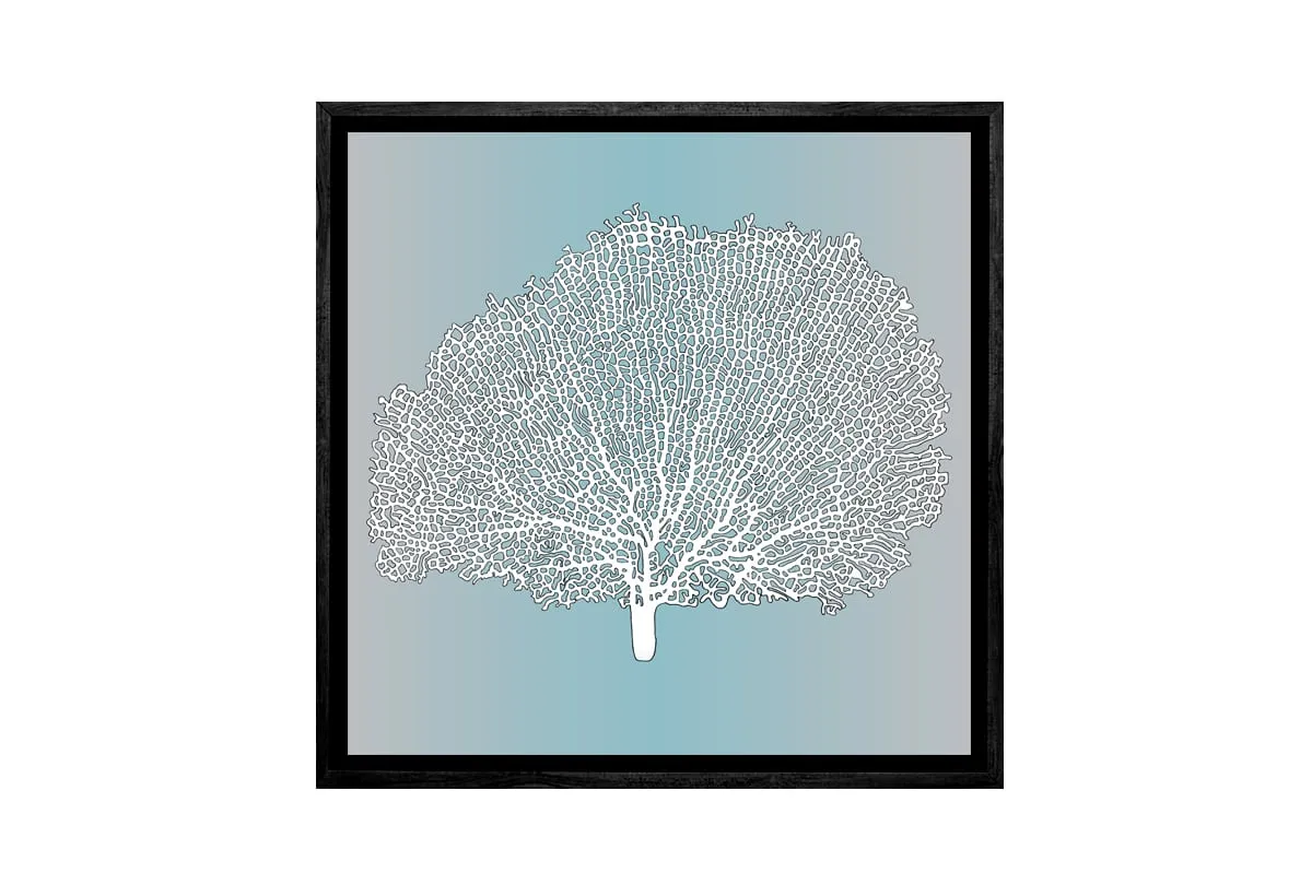 Fan Coral White on Teal | Canvas Wall Art Print