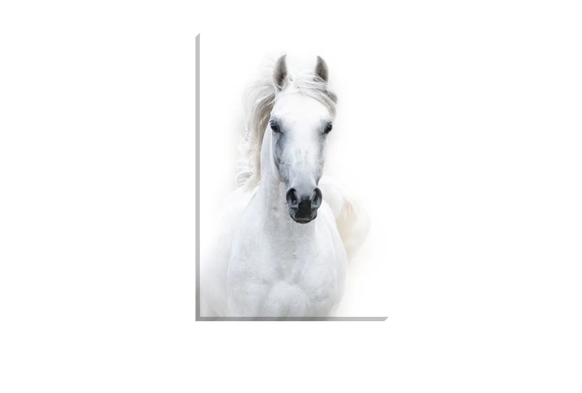 Horse 2 | Canvas Wall Art Print