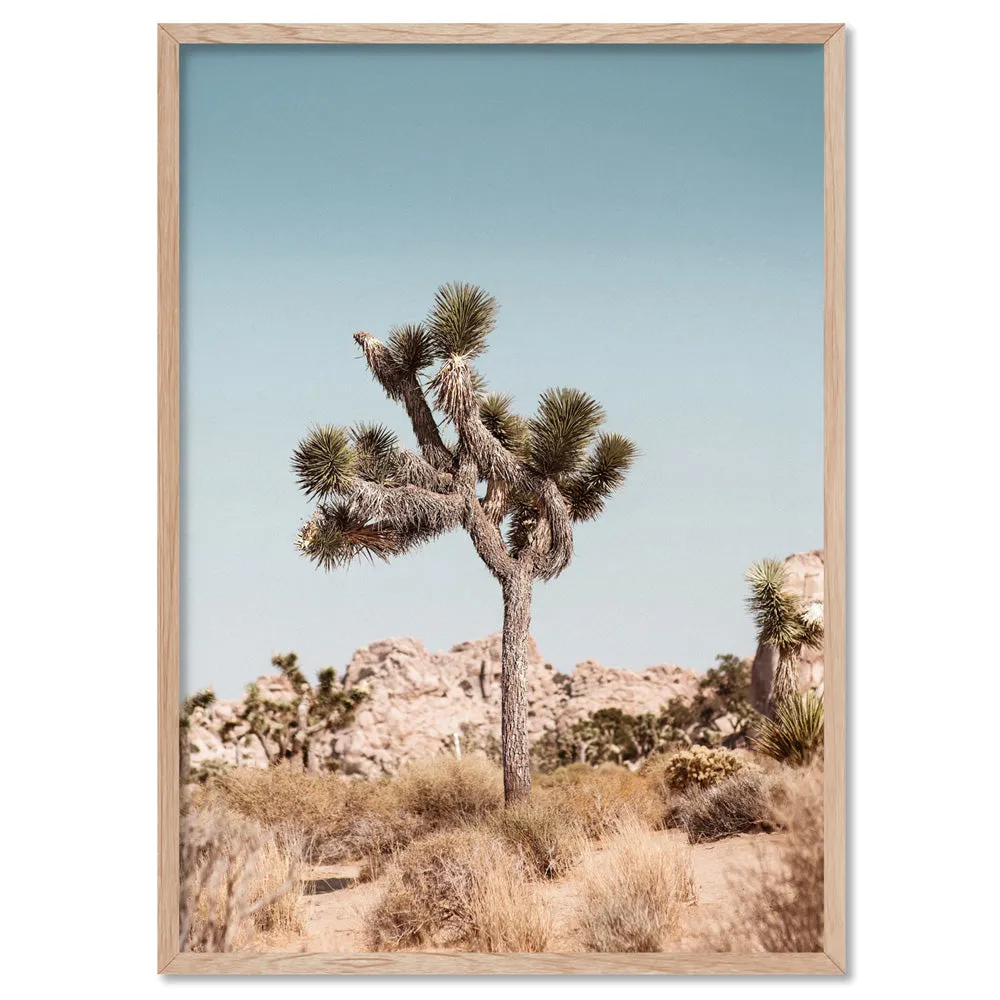 Joshua Tree Desert Landscape II - Art Print