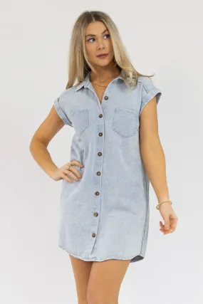 Luella Blue Grey Denim Dress