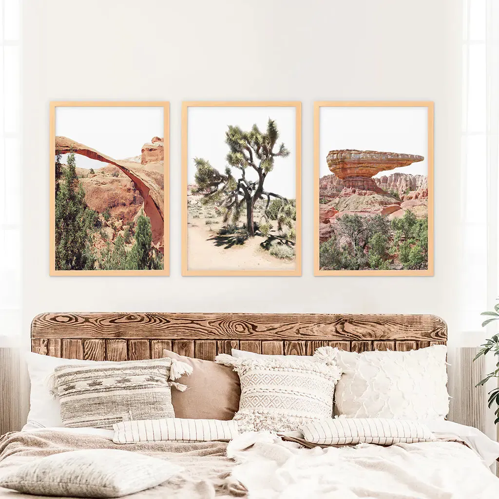 US Desert Wall Art. Arches National Park, Cliff, Joshua Tree